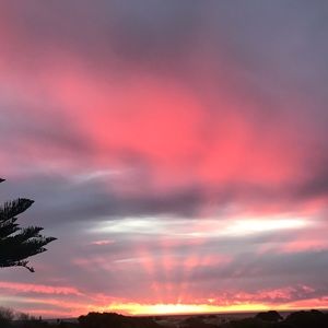 Meet your Posher, Pam